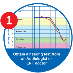 EarCentric PRO Hearing Aid Custom Programm Step 1: Audiogram